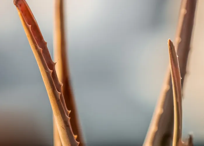 The George - Hospitality Beyond