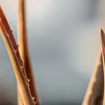 The George - Hospitality Beyond